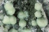 Prehnite Crystal Cluster on Matrix - Connecticut #90967-1